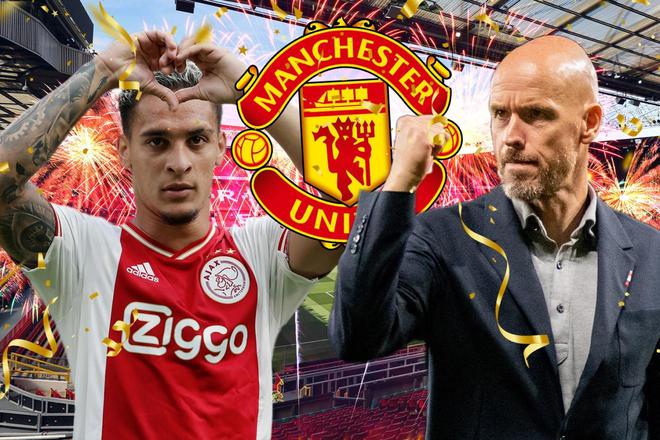 虽说特里无 虽说特里无